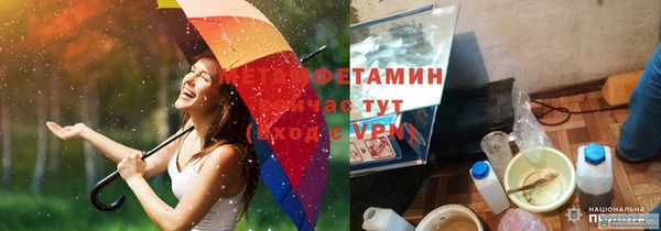 стаф Дмитриев