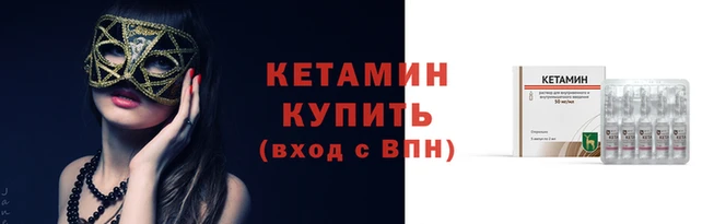 стаф Дмитриев