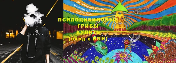 ПСИЛОЦИБИНОВЫЕ ГРИБЫ Гусь-Хрустальный