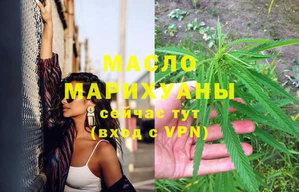 молекула духа Ельня