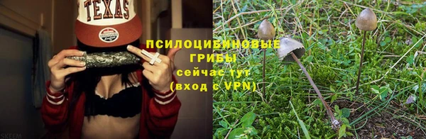 стаф Дмитриев