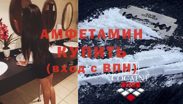 стаф Дмитриев