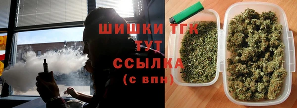 Альфа ПВП Елизово